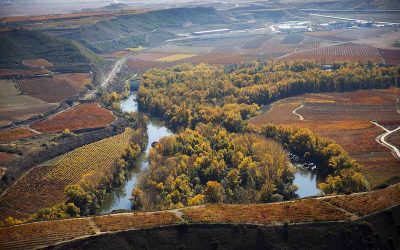 Acuerdos en Rioja sobre su potencial productivo