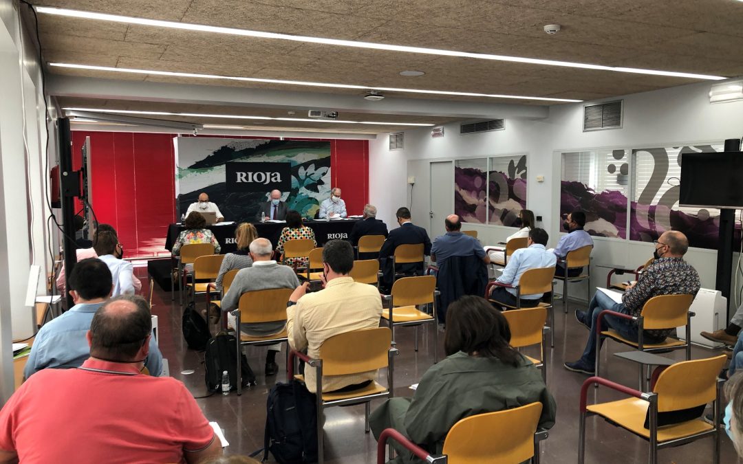 Importantes acuerdos en el último pleno presidido por Fernando Salamero